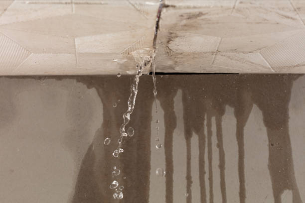 Professional Structural Drying technician working in Asheville, NC